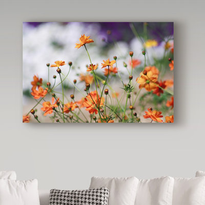 «Garden Conversations» par Yareny, reproduction de photo sur toile tendue