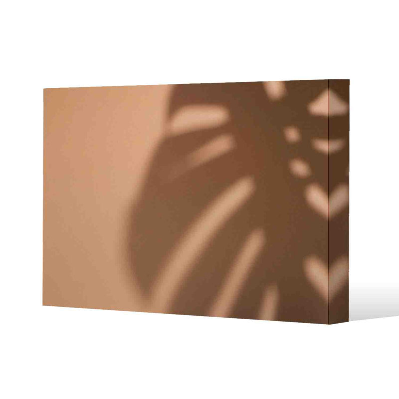 Monstera Shadow by Andrew Lee - Wrapped Canvas Print, 41cm H x 61cm W x 4cm D