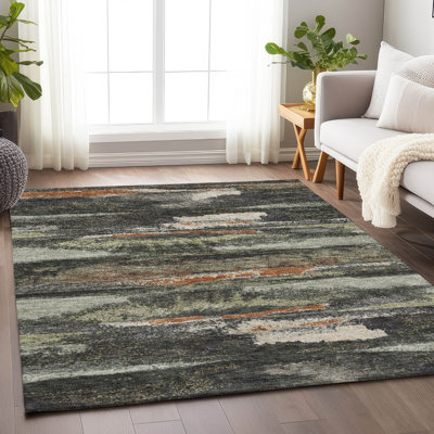 Tapis gris anthracite lavable à la machine Premium Prisco