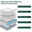 Matelas hybride à ressorts et en mousse à mémoire de forme 10 po (4 tailles)-1357284640