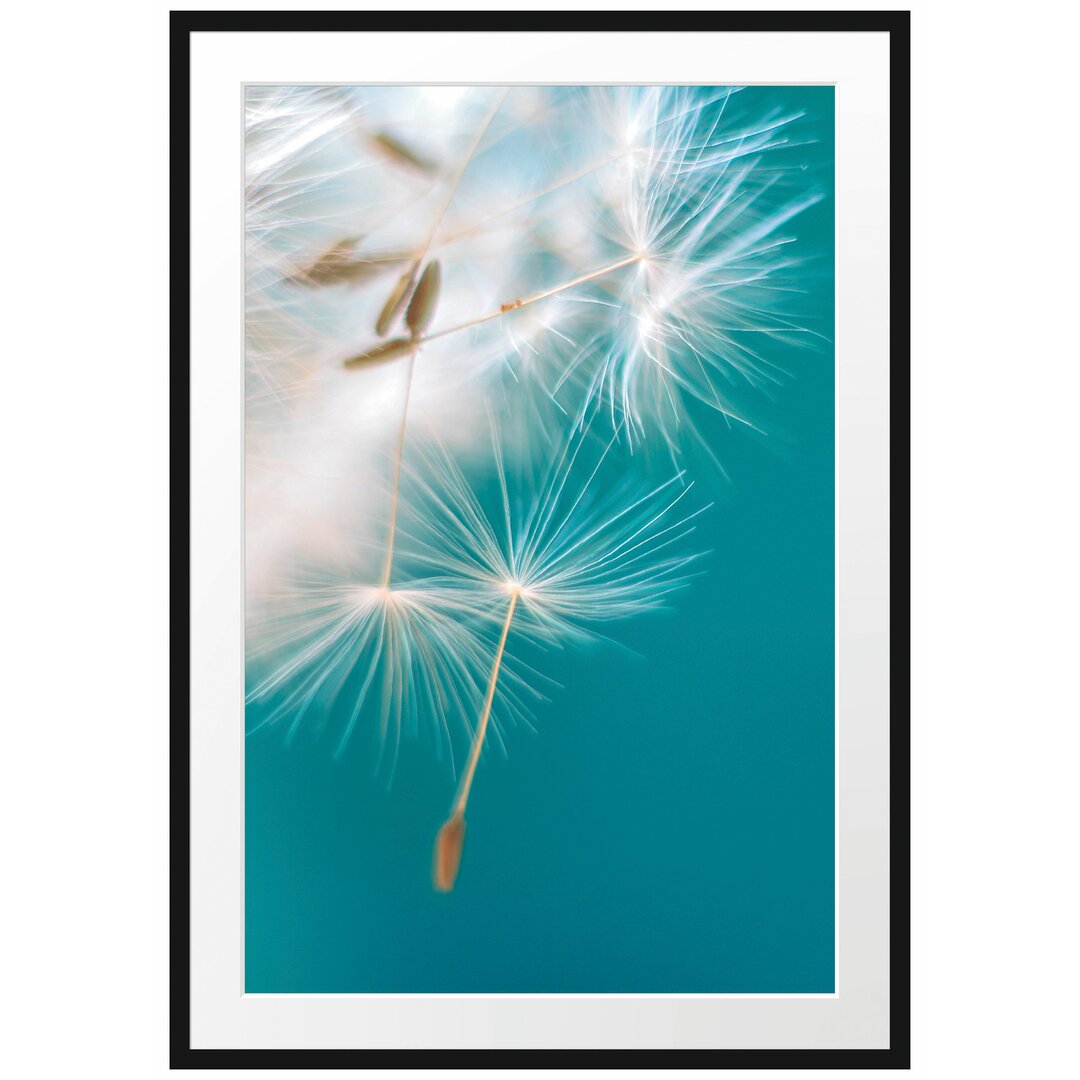 Gerahmtes Poster Wunderschöne Pusteblume