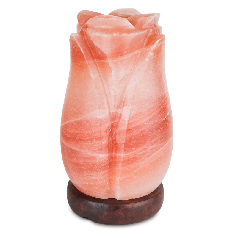 Lampe à sel 5 lb Rose