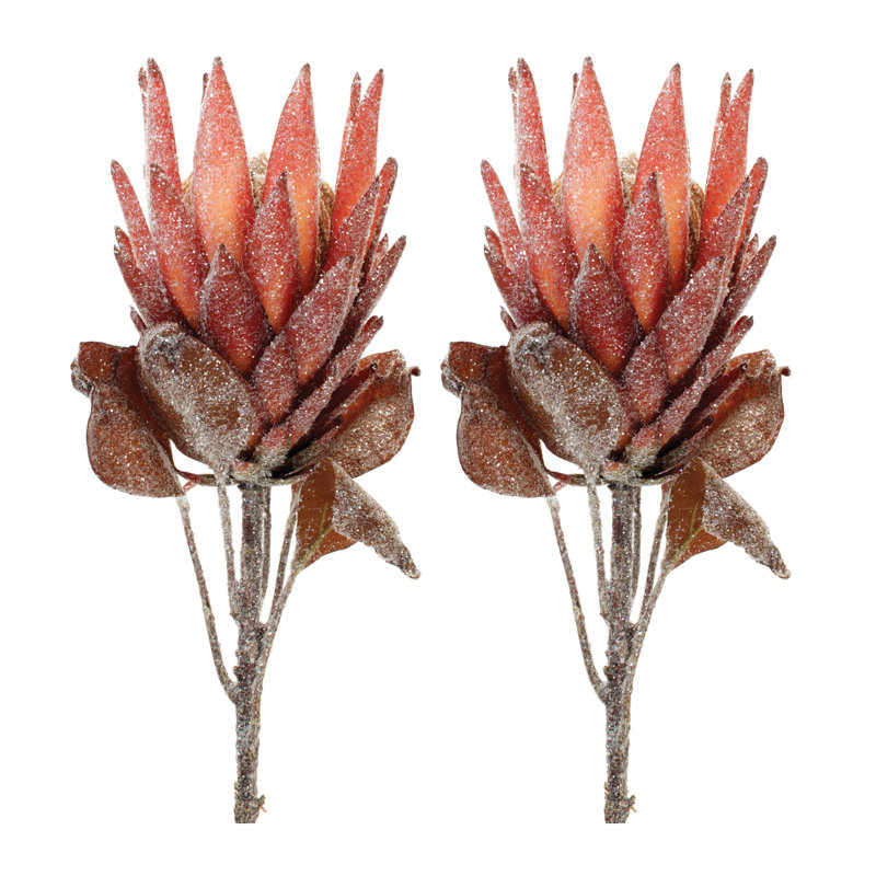 Tige de fleur Protea, Rouge/orange