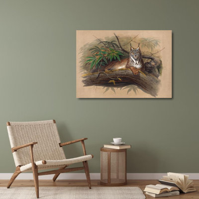 "The Canadian Lynx" by  Joseph Wolf - Gallery Wrap Canvas Wall Art