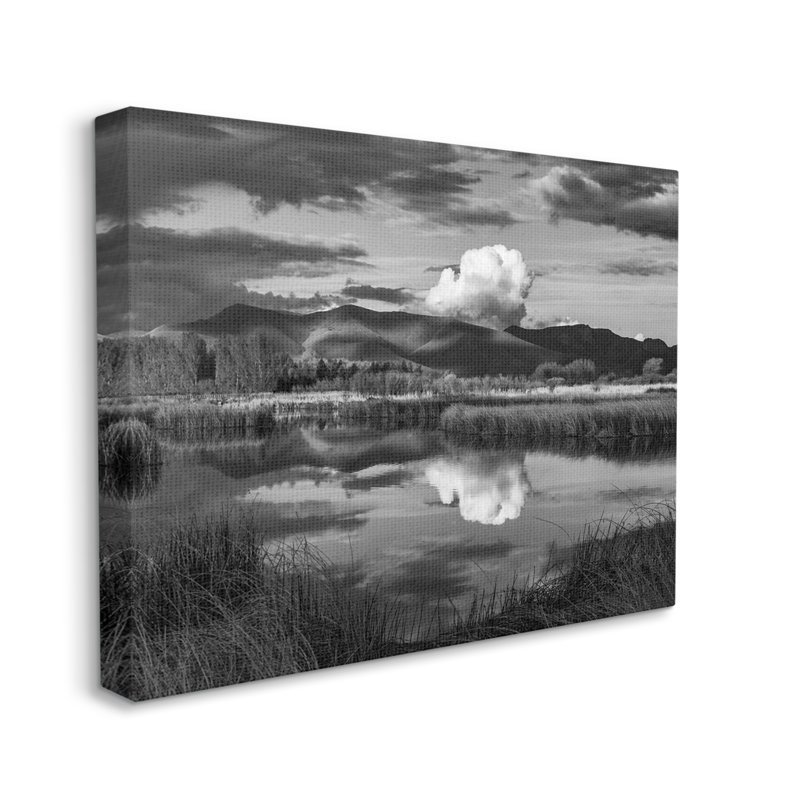«Puffy Cloud Over Mountain Grassy Marsh Landscape» par Steve Smith - photographie à cadre flottant sur toile, Toile tendue