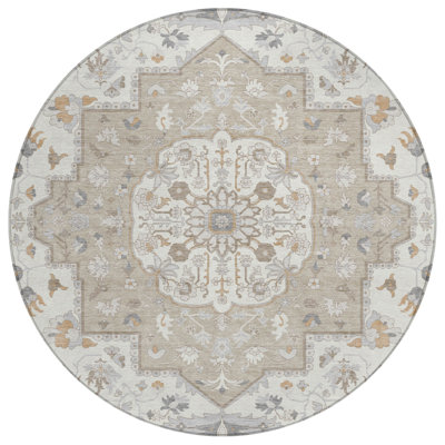 Machine Washable Indoor/Outdoor Chantille ACN2674 Global Rug