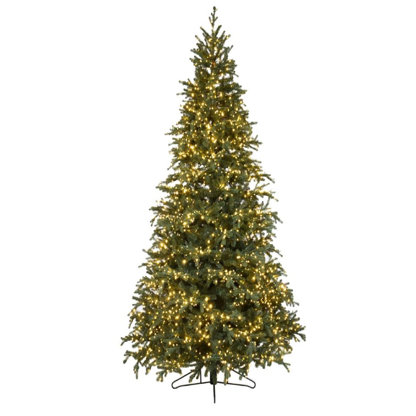 Carolina Fraser Artificial Christmas Tree Clear Lights