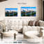 Austin Aerial View-2053679421