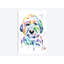 « gus » par lisa whitehouse, impression sur toile-73555331-73555336-31919670