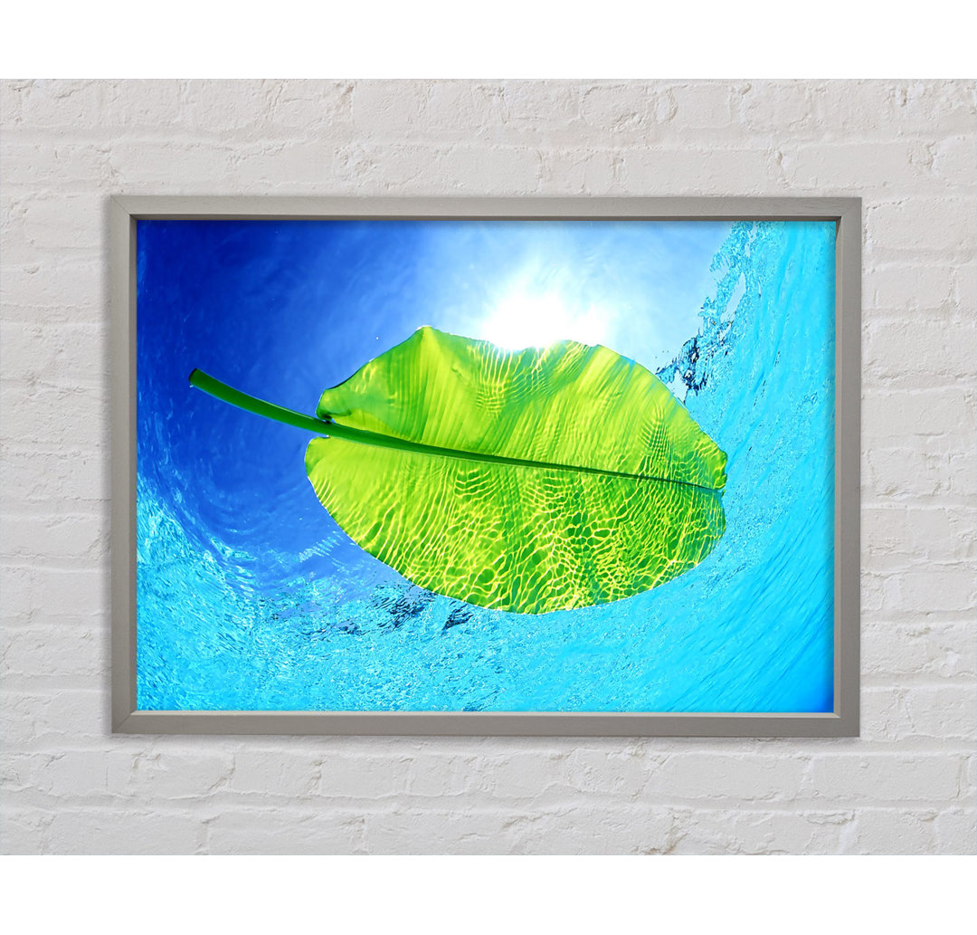 Blue Waters Of A Green Leaf - Einzelner Bilderrahmen Kunstdrucke auf Leinwand