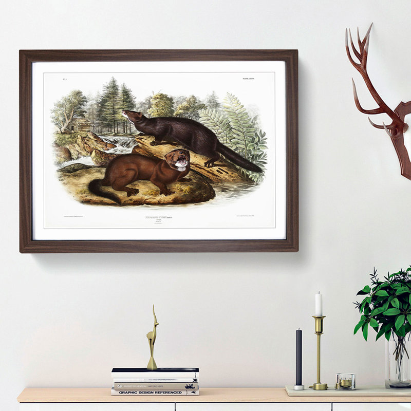 Mink by J.W. Audubon - Picture Frame Painting Print, Walnut Framed, 62cm H x 87cm W x 2cm D