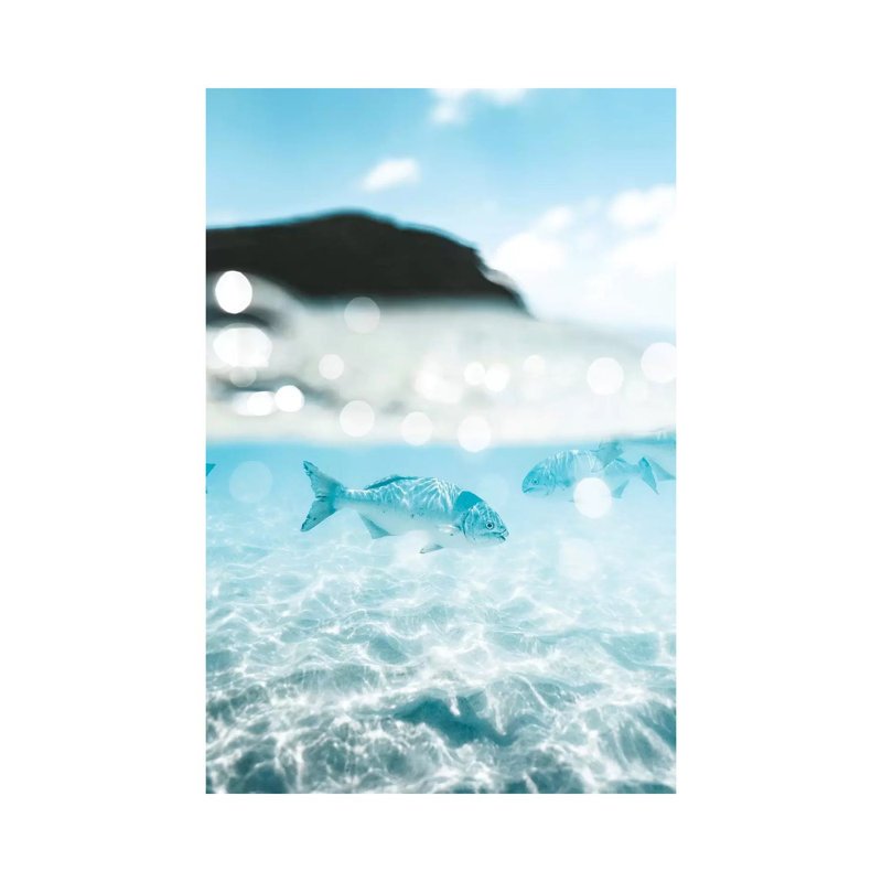 Underwater Fish 50/50 Half Split Shot 1 Piece Wrapped Canvas Wall Art, 66.04cm H x 45.72cm W