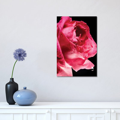 Red Rose Flower by Glauco Meneghelli - Wrapped Canvas Print