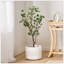 Bonsai artificiel en feuille de Milan-822922030
