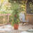 Eastman Weather Resistant Plant Support