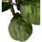 Hand-Made Primrue Artificial Fiddle Leaf Fig Tree-73559330