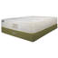 Whole Sleep Cotton 6 Plush Mattress-861656920