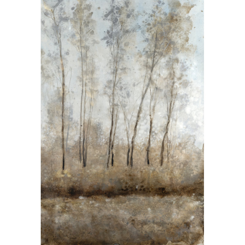 Woodland Shimmering Light I by Tim OToole - Wrapped Canvas Print, 46 cm H x 30 cm W