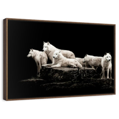 Loups blancs