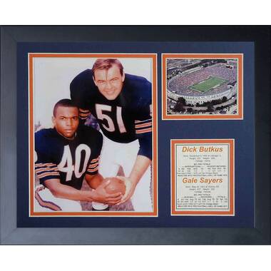 DICK BUTKUS (Bears throwback SKYLINE) Signed Autographed Framed