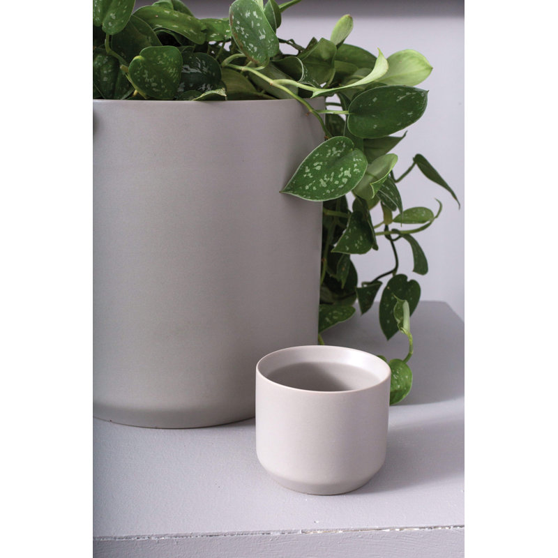 Pot à fleurs en céramique Parsons, Gris, H 2 po x l 2,5 po x P 2,5 po