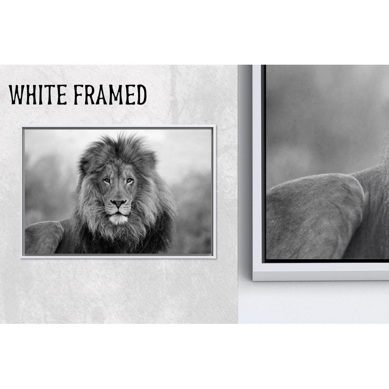 Lion, art mural en verre: grand animal sauvage, 1 toile blanche encadrée, 59,1 po H x 82,7 po l