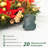 Jamall Faux Lighted 24'' Wreath