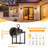 2-Pack Outdoor Wall Lantern-203240558