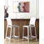 Plenge Counter Stool