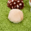 Polyester Pet Bed
