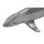 Décoration murale requin baleine