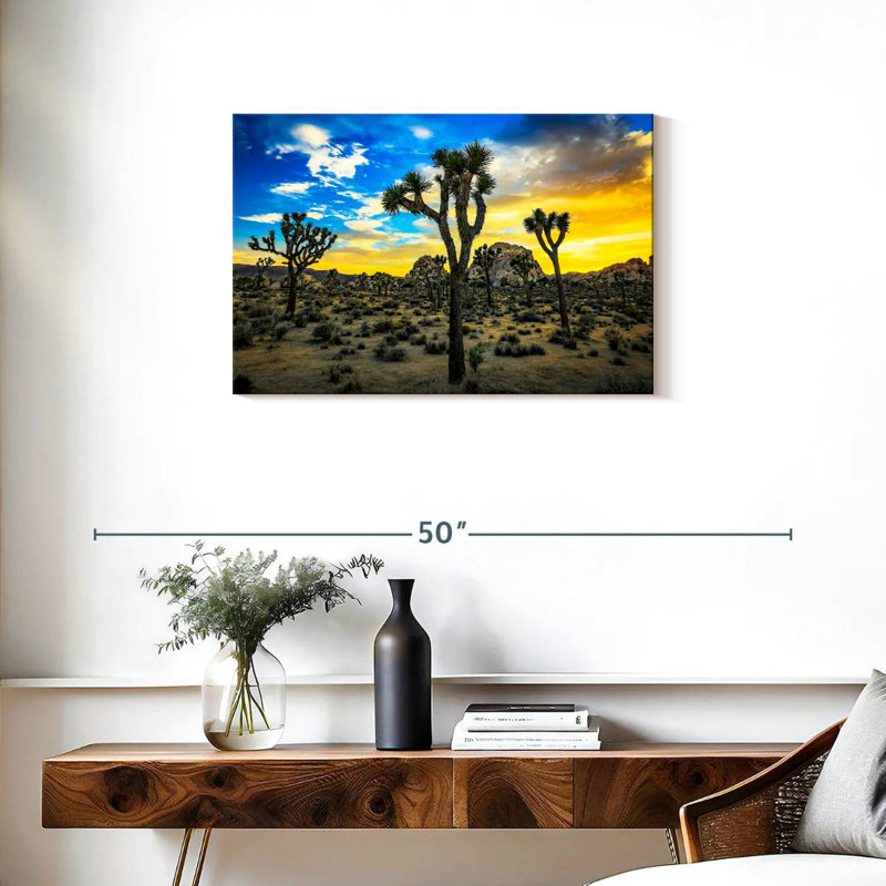 Nicci Joshua Tree Park, H 20 po x l 30 po