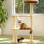 Structure d'escalade de coin naturelle de 19,69 po avec trois couches d'espace pour que le chat puisse grimper