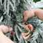 Ensemble de 6 sapins de Noël enneigés en cascade, sapins pleureurs floqués préilluminés avec télécommande, sapins de Noël fins de 1,20 m, 1,50 m et 1,80 m avec 8 modes d'éclairage pour la décoration intérieure des fêtes