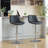 Counter Height Bar Stools Set Of 2-264528874
