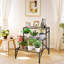 Metal Plant Stand