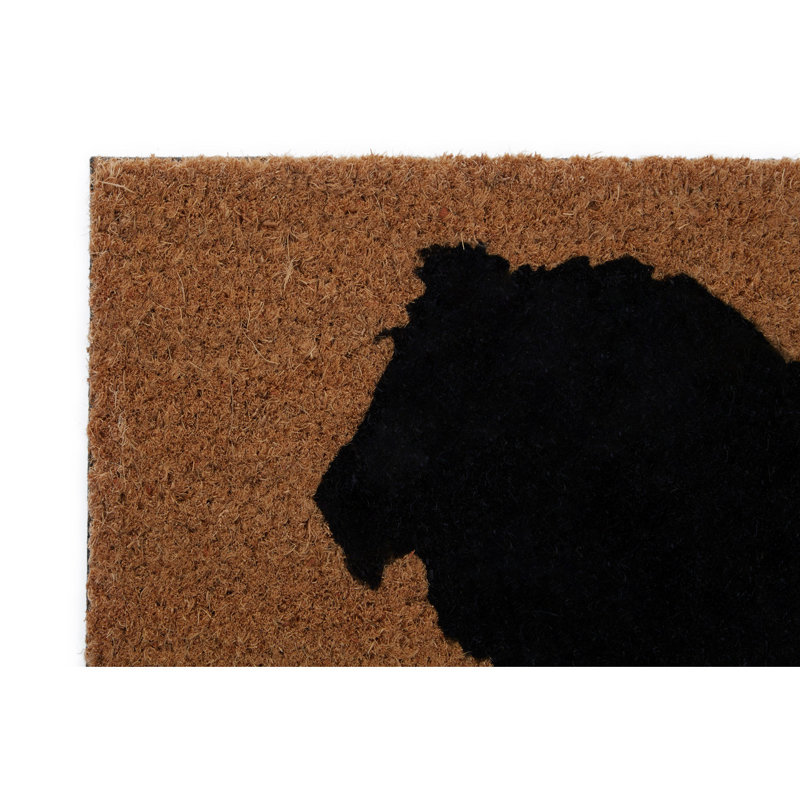 Branislav Outdoor Doormat