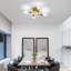 Flush Mount