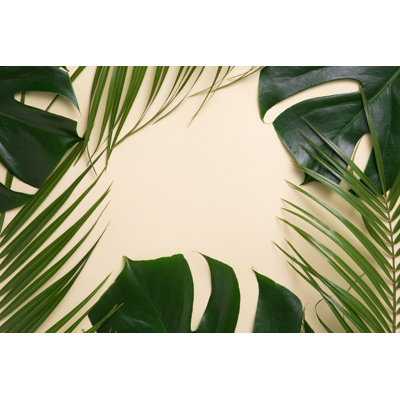Tropical Palm Leaves On Green Background by Amax Photo - No Frame Print on Canvas