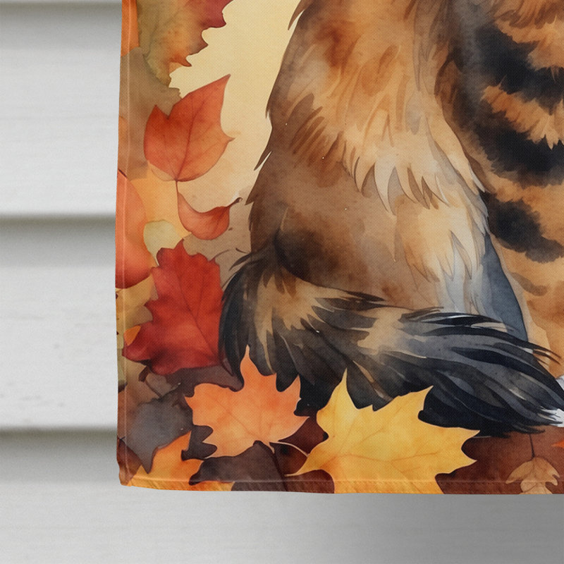 Chat en feuilles d'automne, Cymric