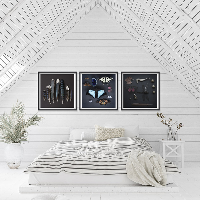 «Velvet Wings» par Trunk Archive - Photographie avec cadre photo