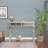 Silver Mirrored  Console Table