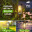 3X plus grandes lumières solaires de sentier d'extérieur, de lumières solaires de jardin améliorées et plus lumineuses alimentées à l'énergie solaire, plus de 12 heures de lumières solaires extérieures pour le jardin