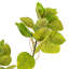 Artificial 4' Cotinus Coggygria Branch-20583959