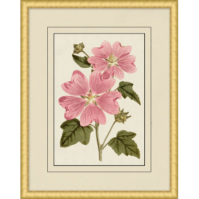 Fresh Flowers 6 Print