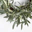 Olive Wreath 21"