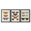«Vintage Butterflies IV» - Toile tendue avec châssis sur mesure - 3 pièces-1979542074-1979542076