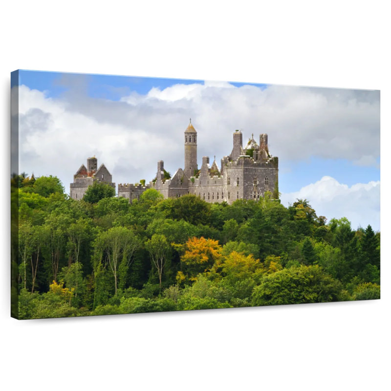 Lilie Ireland's Dromore Castle, H 24 po x l 36 po