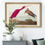 Scarlet ibis - reproduction d'art sur toile-1648441115-1648441104