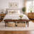 Sturges Solid Wood Bench